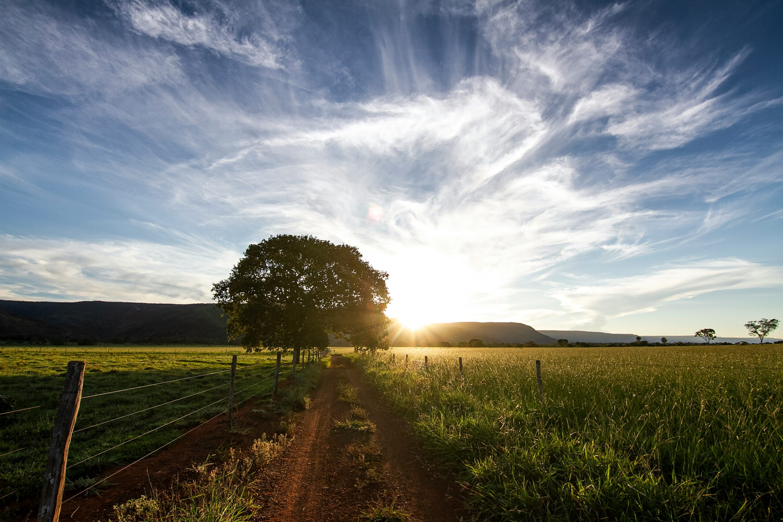 Fazenda ao entardecer, representativo de planejamento sucessório no agronegócio.